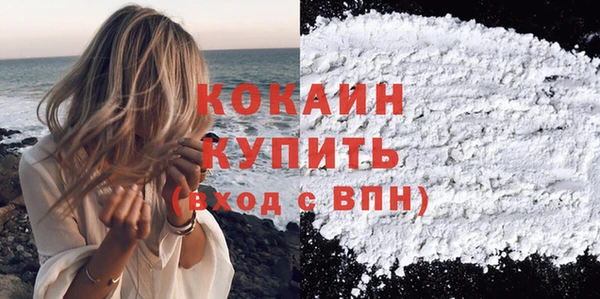 сатива Иннополис