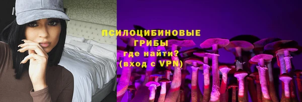 прущие крисы Инта