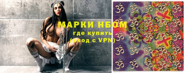 сатива Иннополис