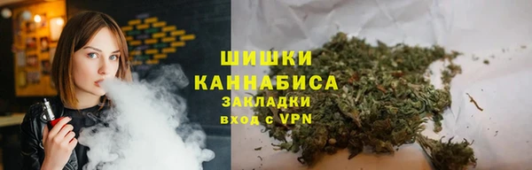 сатива Иннополис