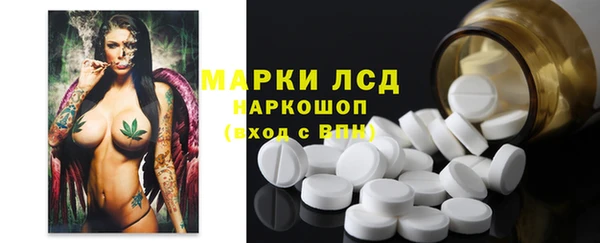 сатива Иннополис