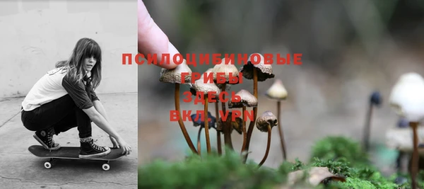 сатива Иннополис