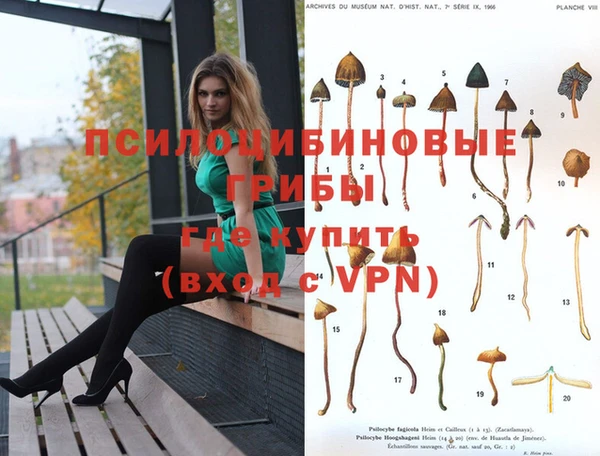 сатива Иннополис