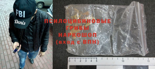 сатива Иннополис