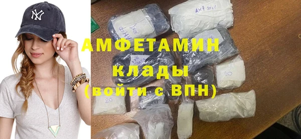сатива Иннополис