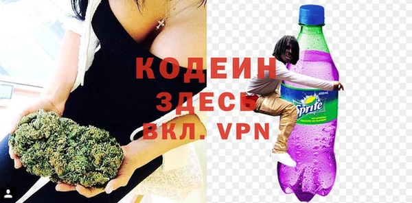 сатива Иннополис