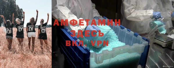 сатива Иннополис