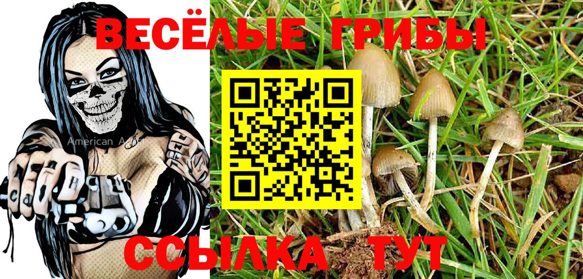 Галлюциногенные грибы GOLDEN TEACHER  Галлюциногенные грибы MAGIC MUSHROOMS  Вход с VPN  Карабулак 
